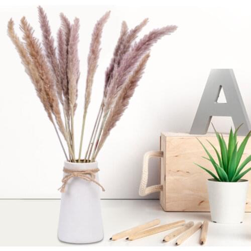 15PCS Home Decor Homehold Decorating Natural Dried Reed Grass DIY Home Wedding Decoration Artificiall Flowers Plants