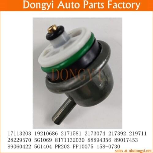 Fuel Injection Pressure Regulator OEM No. 17113203 19210686 2171581 2173074 217392 219711 28229570 5G1069 8171132030 88894356
