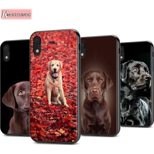 Labrador Retriever Silicone Cover For Apple IPhone 12 Mini 11 Pro XS MAX XR X 8 7 6S 6 Plus 5S SE Phone Case