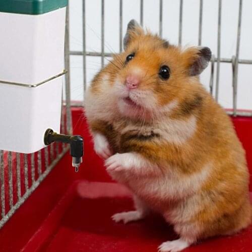 Pet Water Feeder Automatic Hanging Drinking Fountain Non-dripping Small Animal Water Bottle Rabbit Ball Hanging Water Fountain