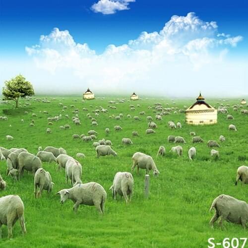 Digital Printed Vinyl Backdrops for Photography Baby Shower Background Studio Custom Camera fotografia