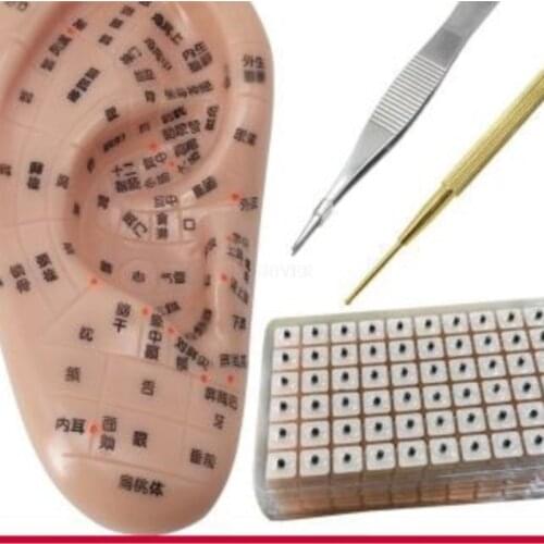 Auricular acupuncture model large auricular acupuncture model 40cm auricular acupuncture point small ear 13cm auricular acupunct
