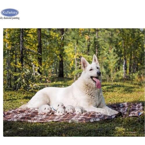 5D DIY Full Diamond Painting White Swiss Shepherd Dogs Mosaic painting Rhinestone Embroidery Cross Stitch Needlework art B817