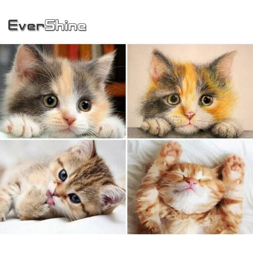 EverShine Diamond Embroidery Animal Picture Of Rhinestones Diamond Painting Cat Cross Stitch Set Mosaic New Arrival Handicraft