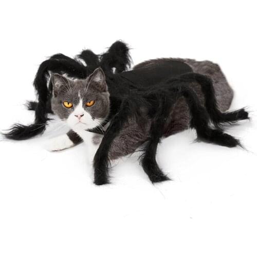 Halloween Cat Dog Spider Pet Dress Up Spider Wing Clothes for Puppies Cats Halloween Pet Cat Dog Costumes Cute Dress Hot sale
