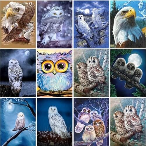 DIY Owl 5D Diamond Painting Full Square Drill Eagle Diamond Embroidery Cross Stitch Kits Resin Mosaic Wall Art Gift Home Decor