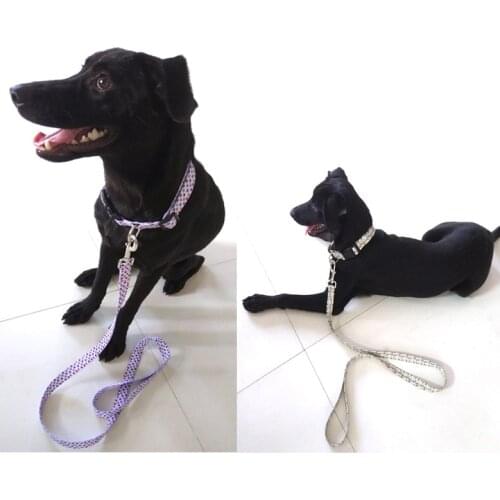 Personalized Fashion Custom cat Leash Pet Leash Custom Print dog leash for Small Medium Large Dogs