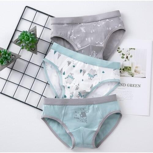 Boys Boxers Back To School Clothes 2019 Cute Briefs for Teenage Kids Thong Underwear Cotton Underpants Children Panties Shorts