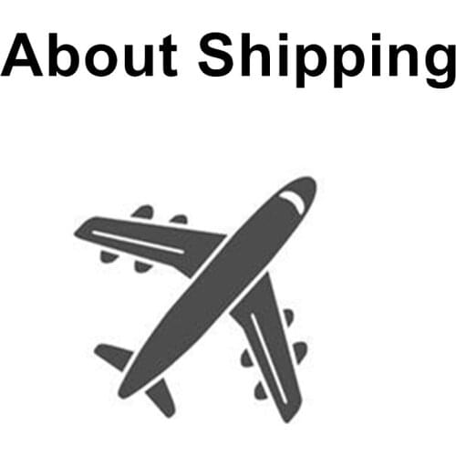 About Shipping way / Shipment