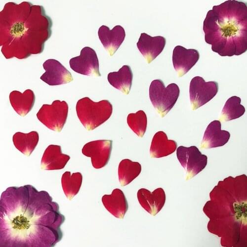 Rose Petal Heart-shaped Rose Petal DIY Embossing Dry Flower Drop Glue Immortal Flower Shell Material Making Candle