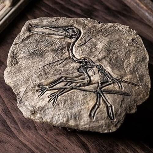 Resin Dinosaur Fossil Figurines Desk Home Decoration Accessories Dinosaur Skull Sculpture Room Ornament Home Decor