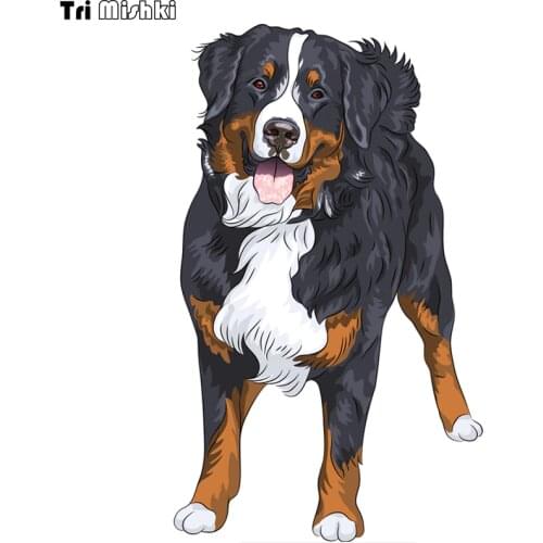 Tri Mishki WCS114 12x20cm bernese mountain dog standing and smiling car sticker funny colorful auto automobile decals