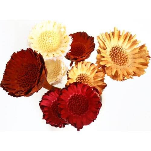Preserved Dried Sunflower Daisy Floral Arrangement Original Colorful Red Orange Home Wedding Office Table Graden Art Decoration