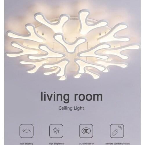 LED Living Room Lights Modern Simplicity Ceiling Light Creativity Bedroom Lights Study Room Lights Remote Control Function Light