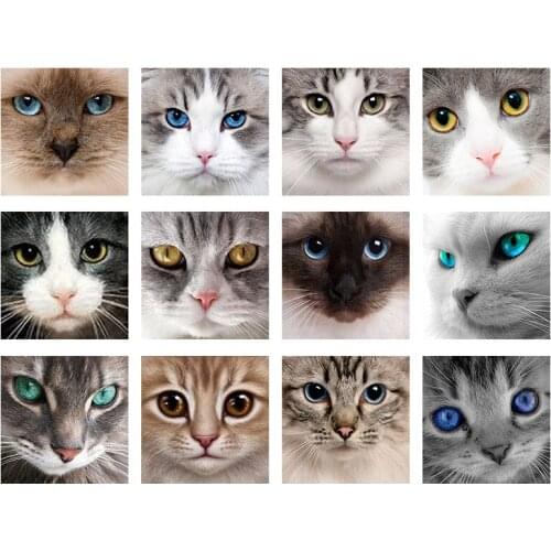 FUll Drill 5D DIY Animal Cat Eye Diamond Embroidery Painting Diamond Cross Stitch Handmade Mosaic Art Children Gift