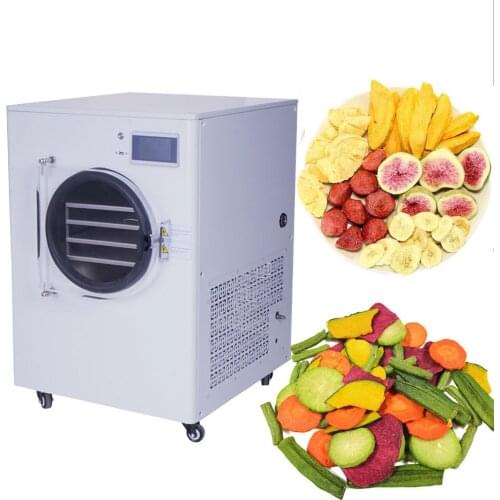 High Quality Household Vacuum Freeze Dryer Machine Multifunctional Lyophilizer Dehydrator for Vegetables Fruit Meat and Pet Food