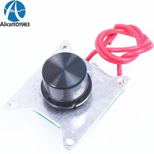 AC 220V 1000W Control Silicon Voltage Electronic Regulator Dimmer Light Speed Temperature Adjustment With Switch High Power