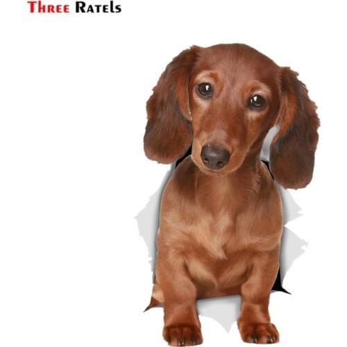 Three Ratels 1070 3D Long Haired Dachshund SauWall Stickers For Kids Baby Girls Rooms Nursery Home Decor Vinyl Wall Decals Diy