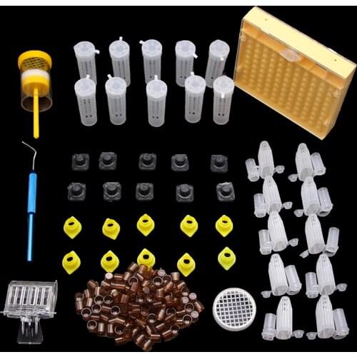1SET/165PCS Beekeeping Kit Bee Queen Rearing System Marker Transfer Needle Cage Box Cup Plastic Apiculture Equipment Supplies
