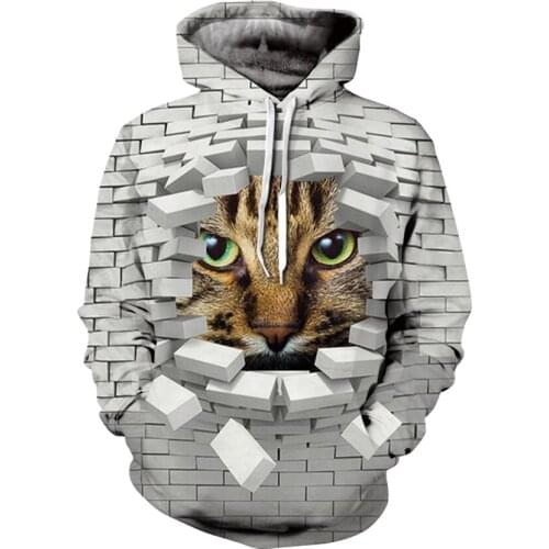 New fashion animal print long sleeve casual sports hoodie broken wall cat personality street wear hoodie 2020