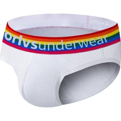 2020 New Fashion Underpants Men Briefs Mesh Sexy Underwear Male Panties Comfortable Men Briefs Low-Waist Sexy Gay Bikini