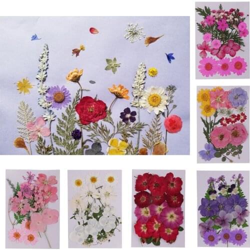 Mixed Natural Dried Flowers Combination DIY Pressed Herbarium Flower Decorative for Resin Jewelry Crafts Nail Stickers