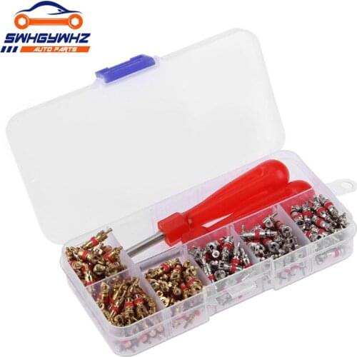 242Pcs Universal Car A/C Air Conditioner R134a Valve Core Assortment Auto Air Conditioner Tool Repair Valve Remover Kit