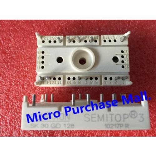 The igbt module SK30GD128