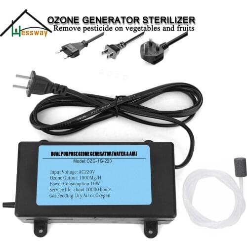 Corona Discharge Ozone Generator 1000MG for Plug EU/US/UK/OEM Optional Connect TUYA Smart Products