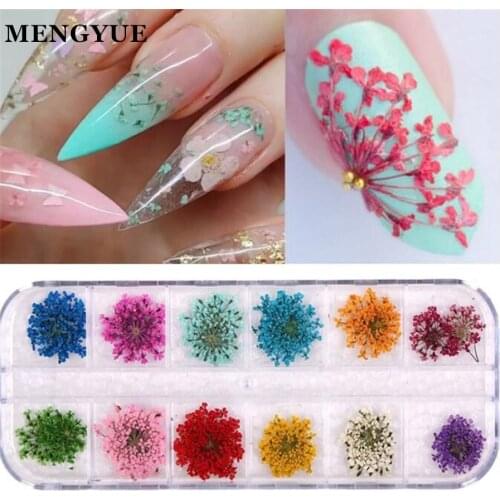 12 Colors 3D Nail Dry Flowers Stickers Mixed Gypsophila Dried Flower Designs Nail Art Decorations Tips Manicure Tool Accessories