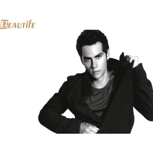 Custom Dylan O'Brien Poster Home Decoration Fashion Silk Fabric Wall Poster Custom Poster high quality