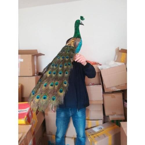 Lovely real life peacock model foam&feather green peacock bird gift about 80cm d0034