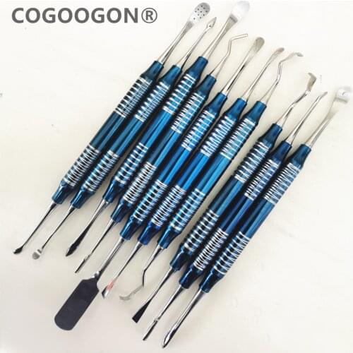 10pcs/set Periosteal Set Dental Dentist Instruments Molt Periosteal Elevator Set Titanium