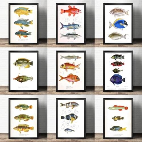 Popular science decorative painting early education - Sea fish specimen salmon -Atlas art painting Retro poster kraft paper
