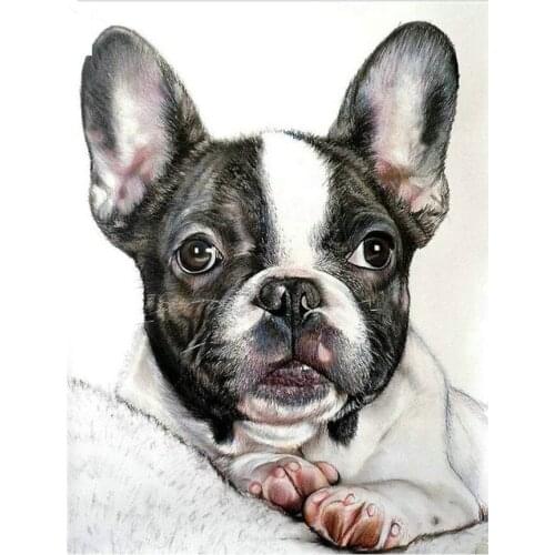 Full Square round Diamond picture 5D DIY Diamond Painting French bulldog Embroidery Cross Stitch kit art Mosaic Home Decor P101