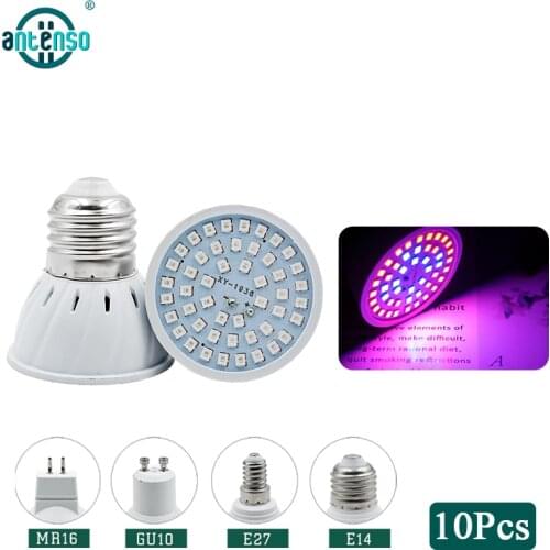 Antenso Professional Lighting