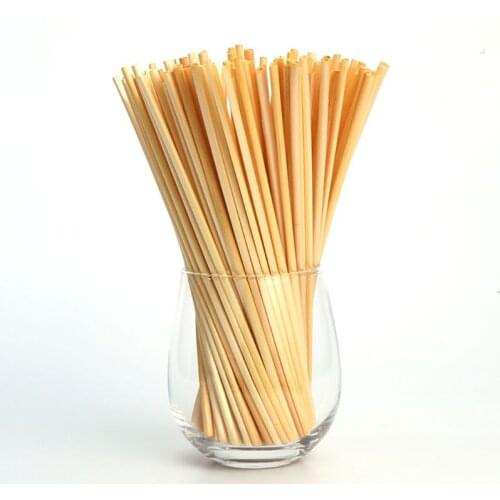 600Pcs Biodegradable Wheat Drinking Straws Flavorless BPA-Free Compostable Straw B0KB