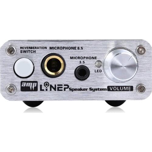 Professional Dual Microphone Amplifier Computer Micphone Amplifier MIC Reverberator