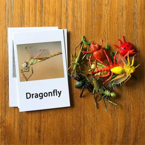 Montessori Animal Matched Toy Preschool Education Toys Toddler 4-8 Years Old