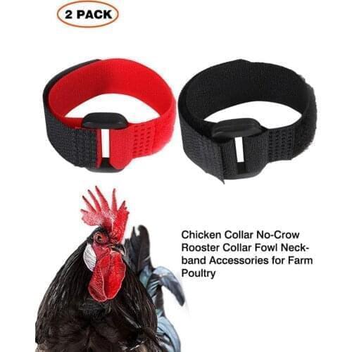 2PCS No Crow Rooster Collar Chicken Collar Noise Free Anti-Hook Neckband Collars Supplies