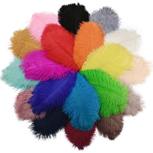 10Pcs/Lot Colorful 20-25cm Ostrich Feathers for Crafts Wedding Party Decoration Plumes Natural Feather Trim Carnival Accessories