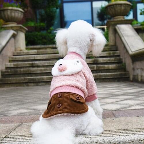 Clearance Sales Dog Coat Thick Winter Dog Clothes for Small Medium Dogs Yorkshire Teddy Outfit Dress Lovely Puppy Clothing