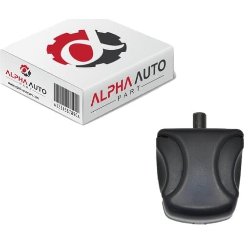 Alpha Auto Part Window Locks