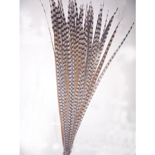 10pcs/lot,140-150CM long Extra Long Feathers,Natural Reeves Venery Pheasant Tail Feathers,Reeves Pheasant Tail feathers