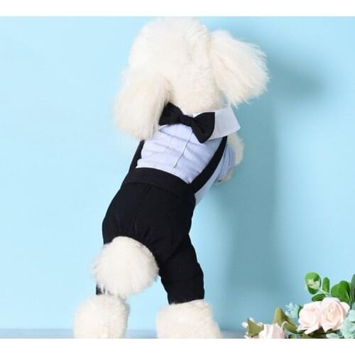 Couple Dog Clothes Winter Pet Dress Jumpsuit Puppy Costume Apparel Yorkshire Pomeranian Maltese Poodle Schnauzer Clothing Outfit