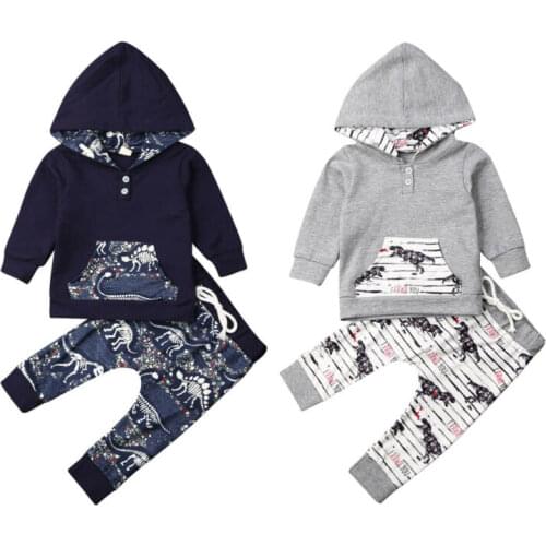 2PCS Toddler Kids Baby Boy Thick Warm Clothes Dinosaur Hooded Tops Pants Outfits