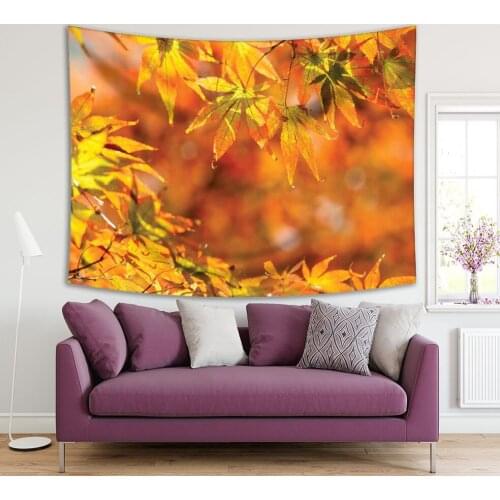 Tapestry Autumn Maple Leaves Trees Sunny Day in Forest Nature Seasonal View Photo Yellow Orange Green