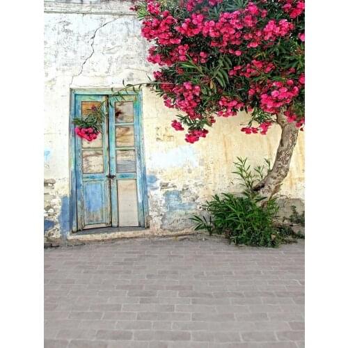 Old door blossom photo backgrounds vinyl vintage portrait marriage photography backdrops in photo studio props photophone S-2006