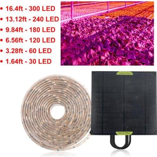 2A 5V Waterproof 2835 Lamp Bead Solar Plant Growth Lamp Full Spectrum Plant Lamp Silicon Solar Panel For Vegetable Flower Growth