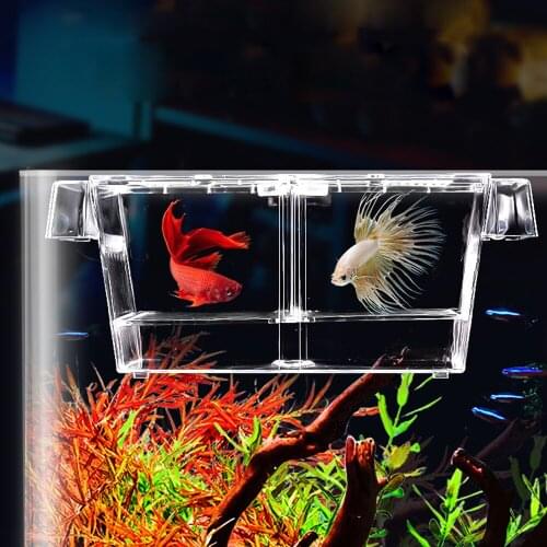Behogar Fish Tank Hatchery Incubator Transparent Fish Tank Breeding Isolation Box with Suction Cups Aquarium Fish Breeder Box